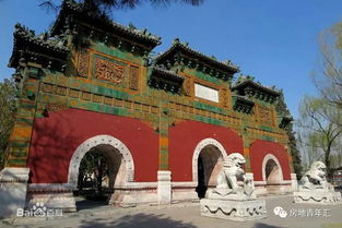 冲起来 年轻的小伙伴们,房地的荣誉让我们来守护