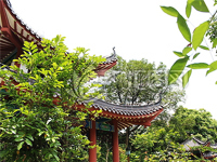 -河北晨雄古建园林工程