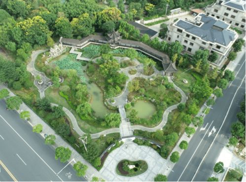 喜报 凤凰桥头 牡丹园 工程获省 黄山杯 奖