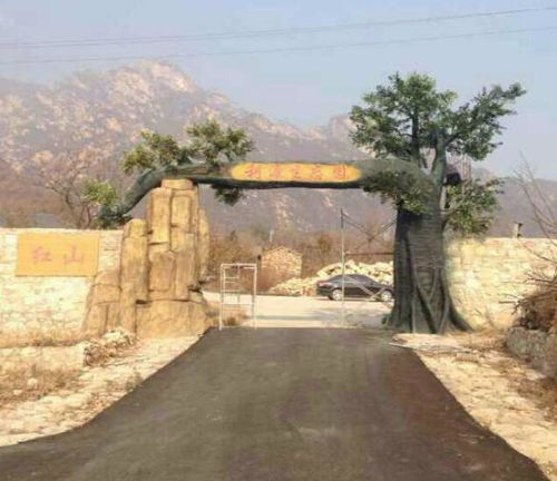 水泥塑树厂家 景诺园林 在线咨询 濮阳水泥塑树