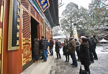 新闻详情 行业资讯 古建建筑装饰专业委员会