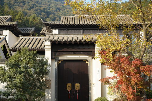 热烈祝贺我司六个项目荣获2019年度杭州市 优秀园林绿化工程 金奖