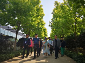 心灵震撼的北京乡土苗木园林古建工程